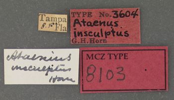 Media type: image;   Entomology 8103 Aspect: labels
